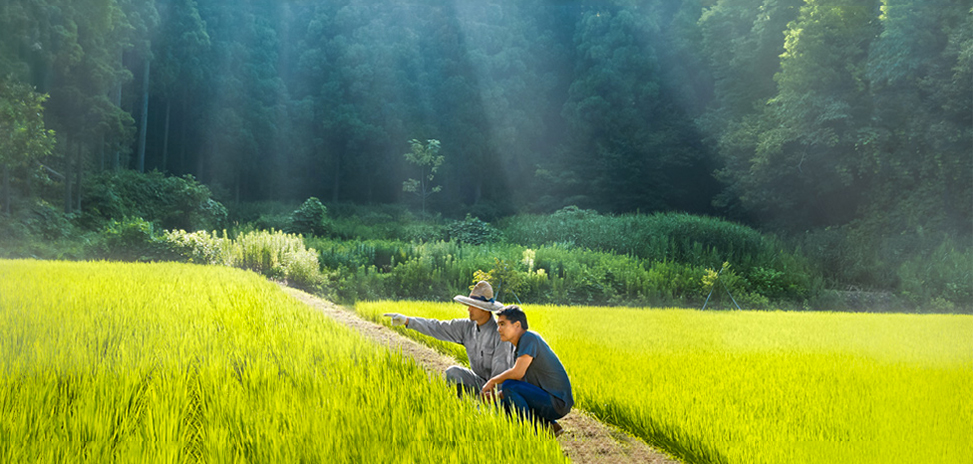 EARN YOUR NEXT TRIP UP TO 5X FASTER.