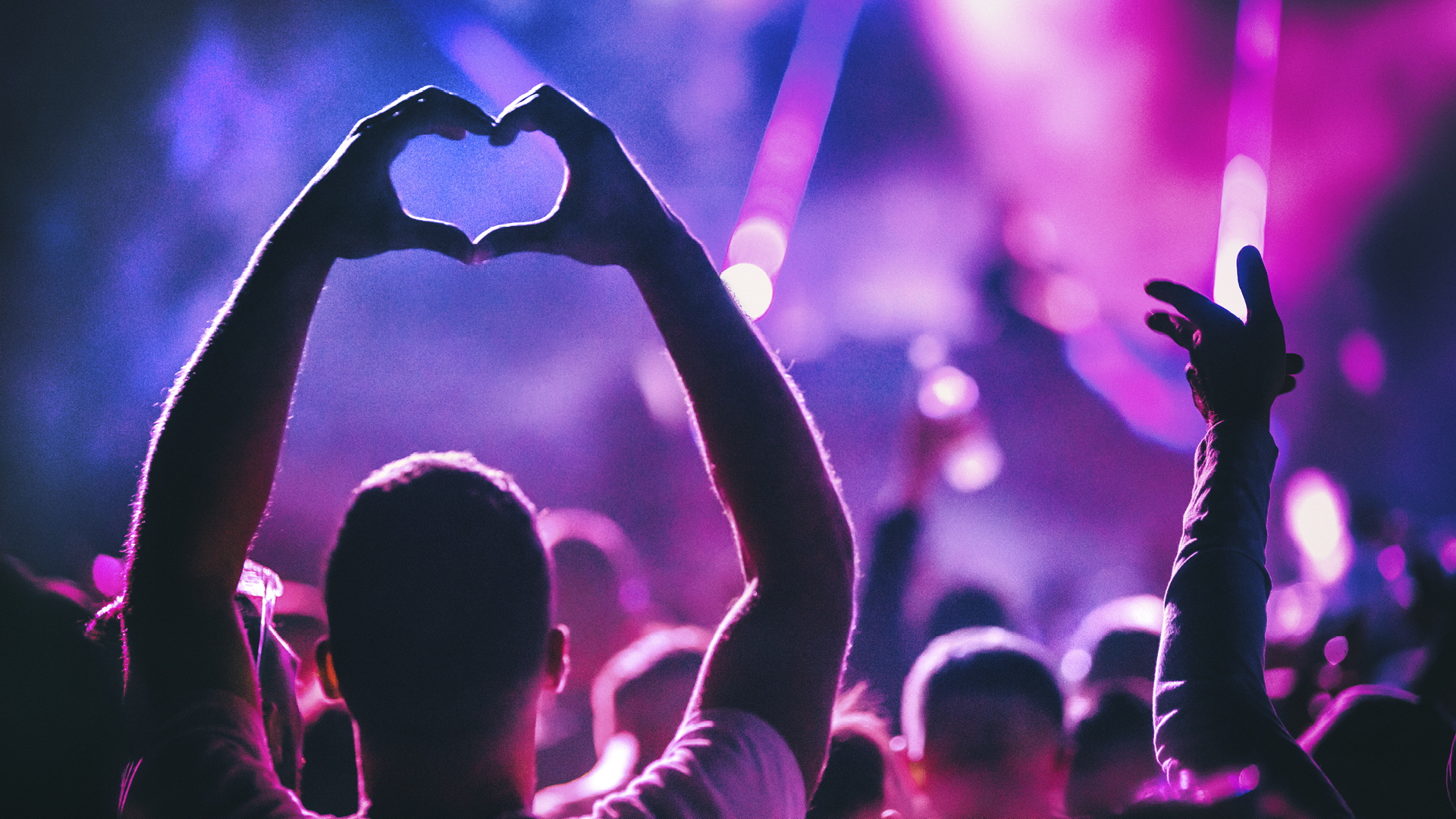 Crowd enjoying a concert image